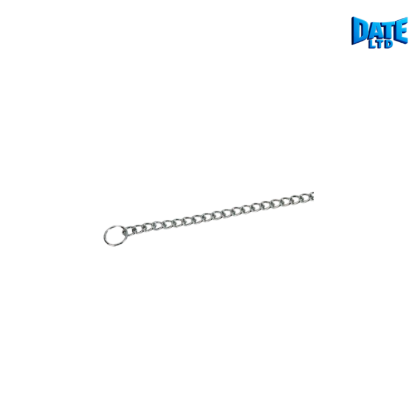 Слика на Ланец